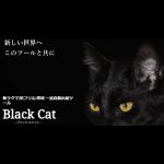 Black Catはラクマ自動出品で稼げるツールか徹底検証!機能やユーザーの声も紹介