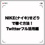 NIKE(ナイキ)せどりで稼ぐ方法!Twitterフル活用編