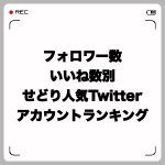 せどり人気Twitterアカウントをフォロワー数・いいね数別に紹介
