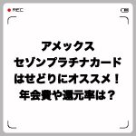 アメックスセゾンプラチナカードはせどりにオススメ!年会費や還元率は?