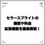 セラースプライト(SellerSprite)の機能や料金、拡張機能を徹底解説!